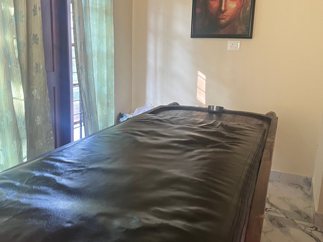 Ayurville - Ayurvedic Treatment & Spa-Fort Kochi必去景点