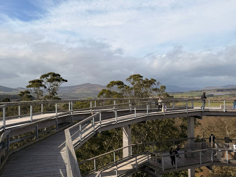 Treetop Walk Avondale-Rathdrum必去景点