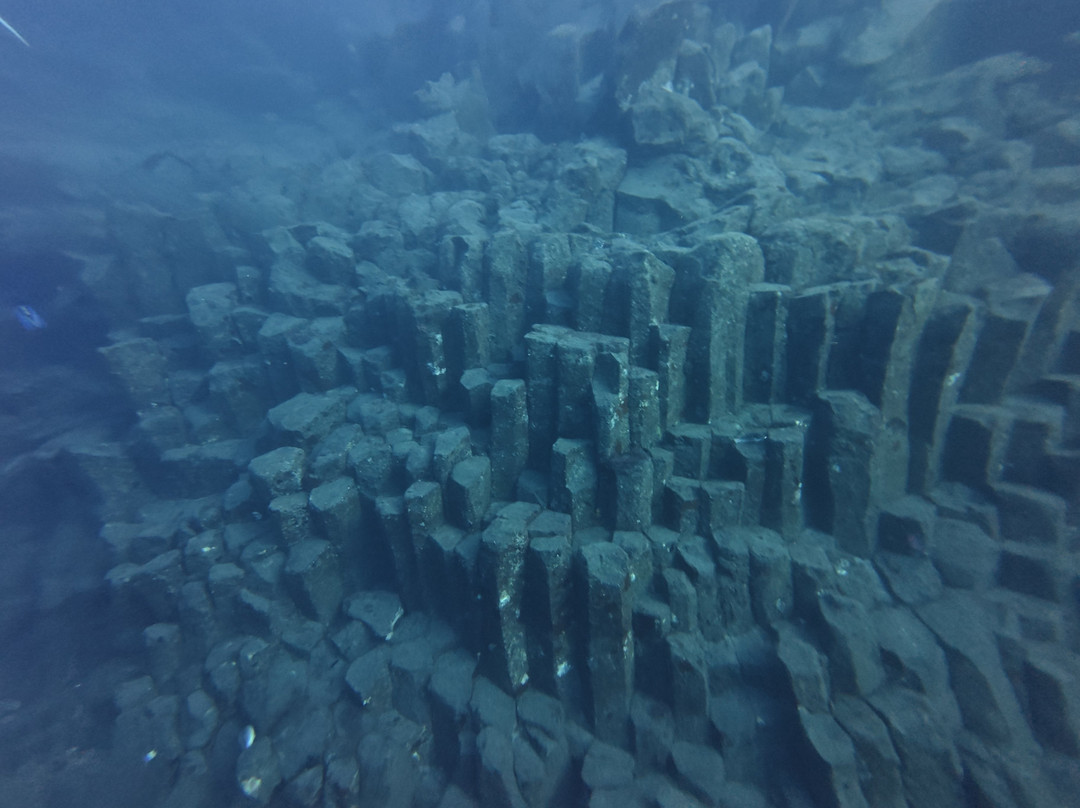 Diving Angel Tenerife-洛斯·吉甘特斯必去景点