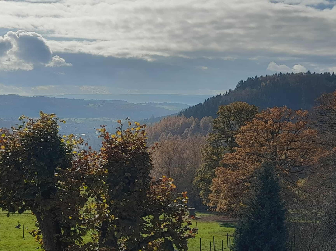 大香槟酒店主图