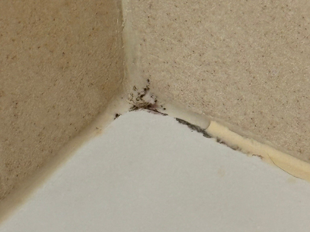 诺尔玛布卢明顿欢朋套房酒店主图