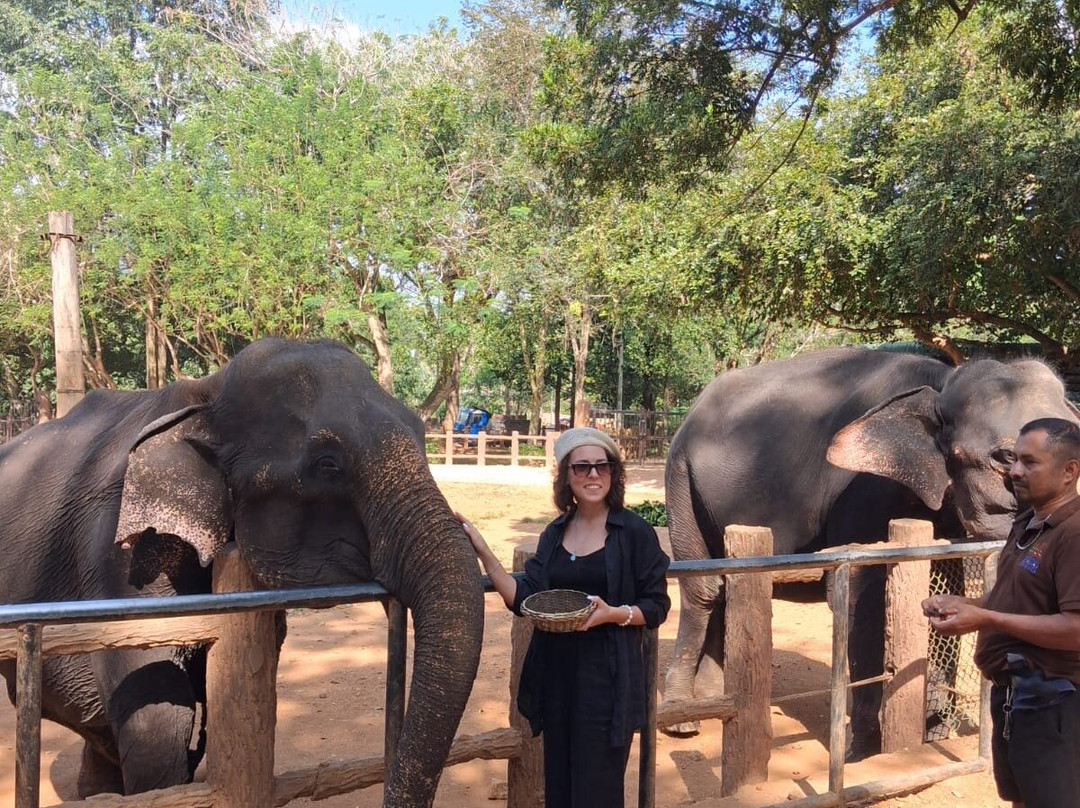 Ceylon Excursions Travel & Tours-班托塔必去景点