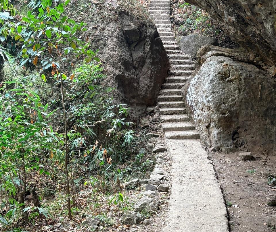 Double Decker Living Root Bridge-Sohra必去景点