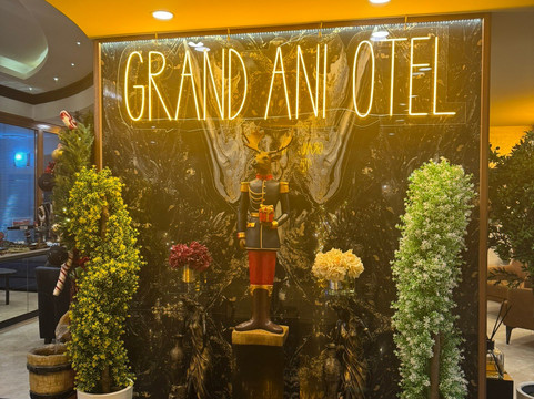 安妮大酒店主图