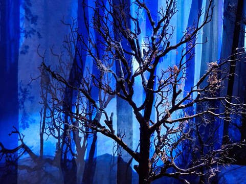 Harry Potter A Kiállítás-圣安德烈必去景点