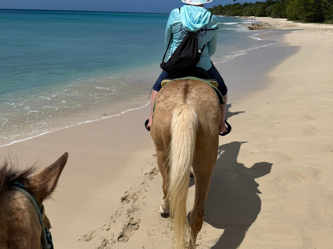 Cruzan Cowgirls-Frederiksted必去景点