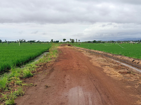 Mtoni Cultural Tour-Mto wa Mbu必去景点