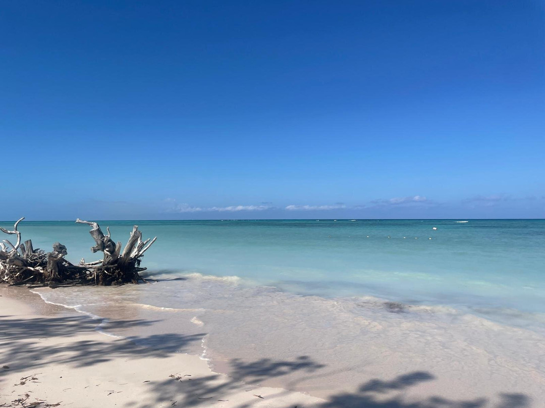 Cayo Jutías-Minas de Matahambre必去景点