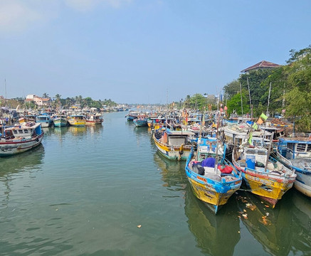 Enviro Bicycle Tours-尼甘布必去景点