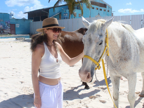 Sunflower Stables Barbados-Mangrove必去景点