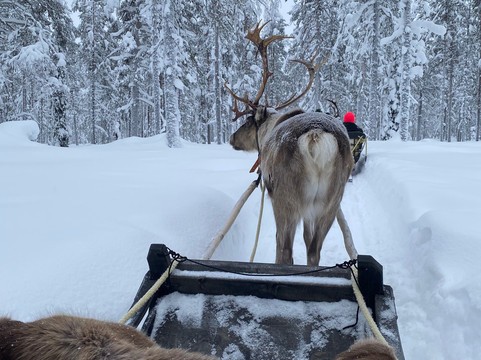 Lapland Safaris Yllas-Akaslompolo必去景点