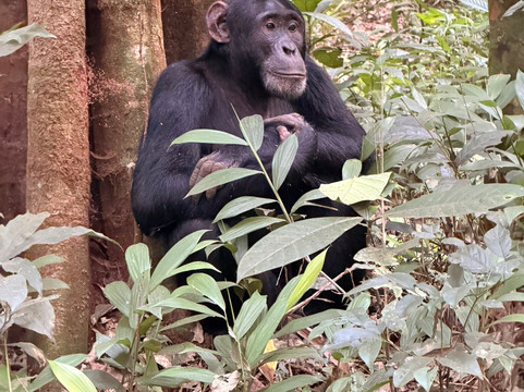 BUGOLI ADVENTURES LIMITED-卡巴莱必去景点