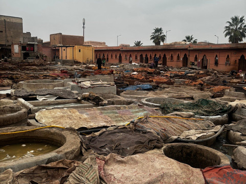 Nour Safari-马拉喀什必去景点