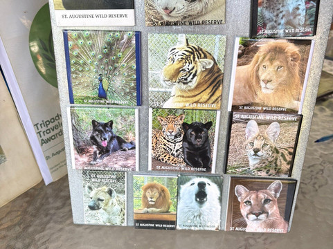 St. Augustine Wild Reserve-圣奥古斯丁必去景点