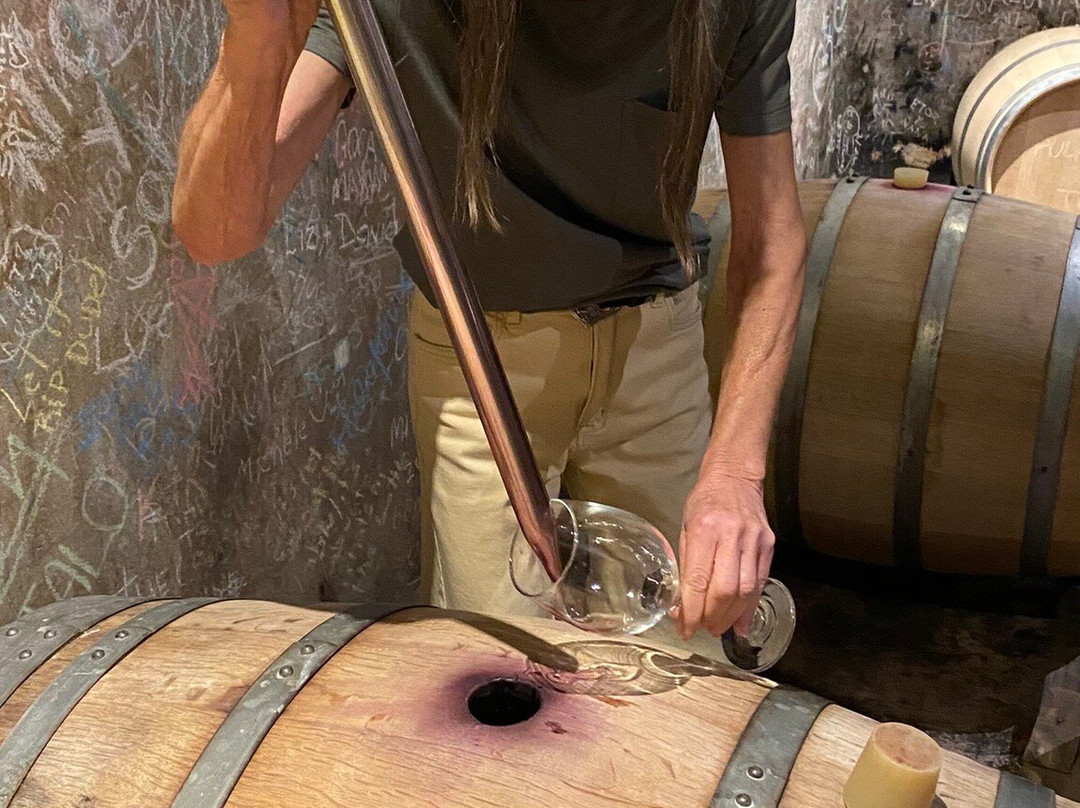 SAK Wine & Travel-门多萨必去景点