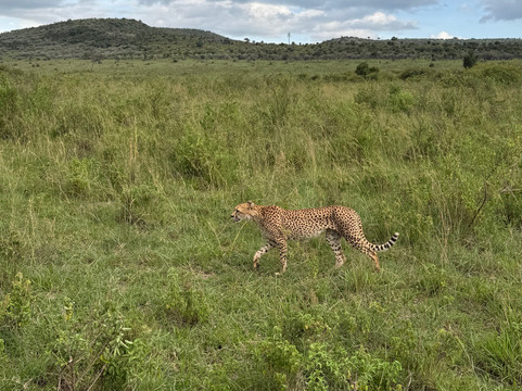 Bigfoot Adventures-内罗毕必去景点