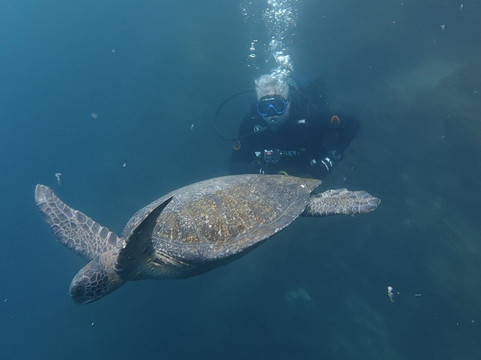 Galapagos Blue Evolution-Puerto Baquerizo Moreno必去景点