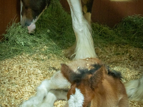 Warm Springs Ranch-Boonville必去景点