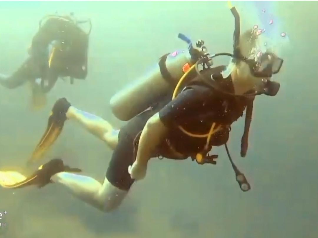 Let's Dive Palawan-公主港必去景点