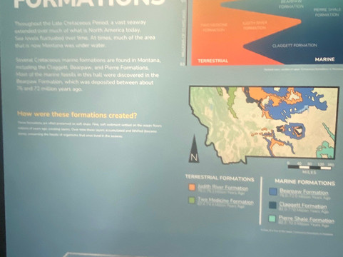 Museum of the Rockies-博兹曼必去景点