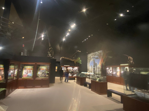 Museum of the Rockies-博兹曼必去景点