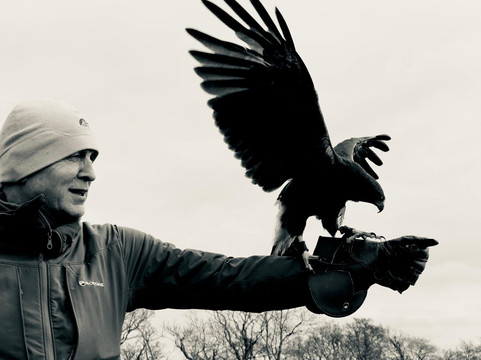 North Devon Hawk Walks-South Molton必去景点
