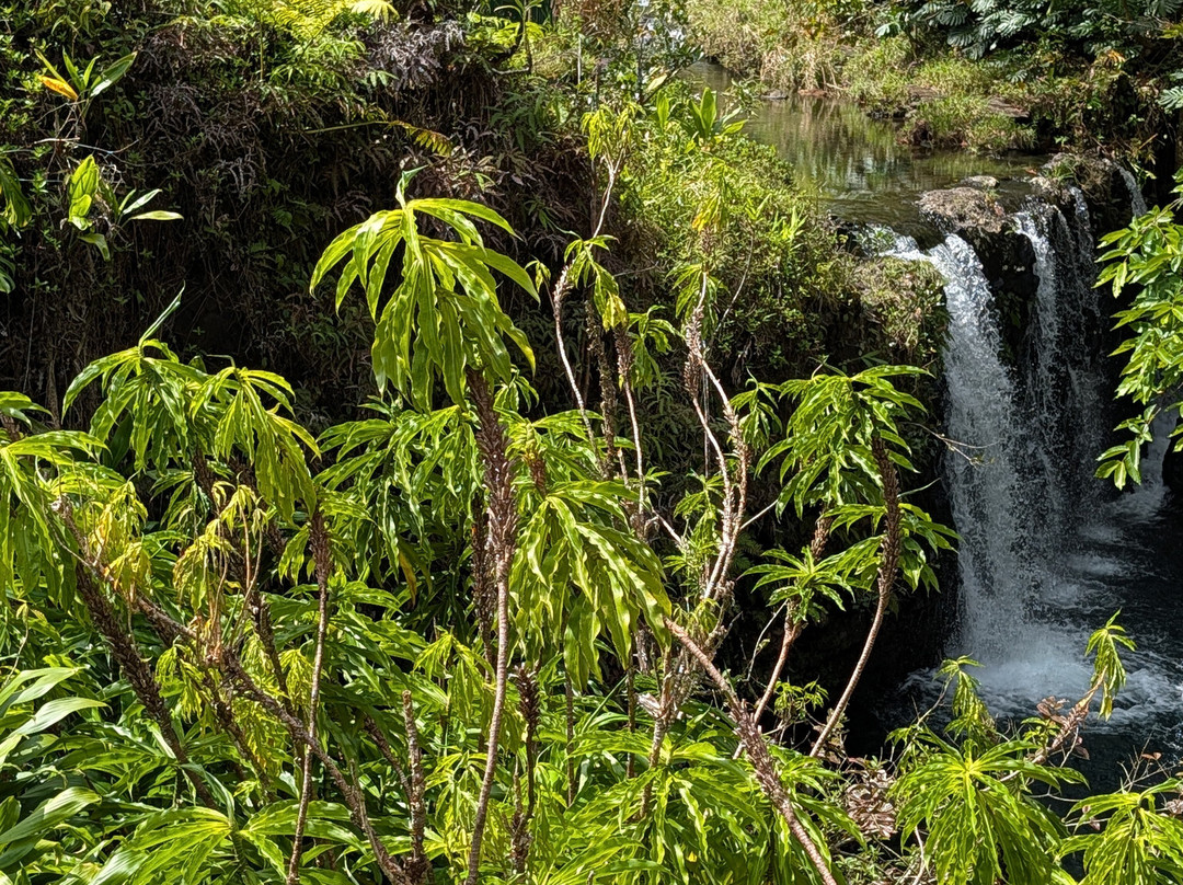 Adventure Maui Road to Hana Tour-哈纳必去景点