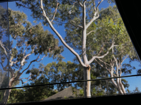 Camperman Australia-Coburg North必去景点