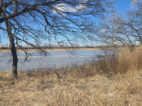 Audubon's Rowe Sanctuary-Gibbon必去景点