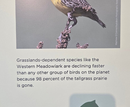 Audubon's Rowe Sanctuary-Gibbon必去景点