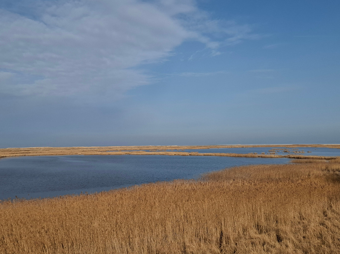 桑迪斯彻维兹施洛斯臣酒店主图
