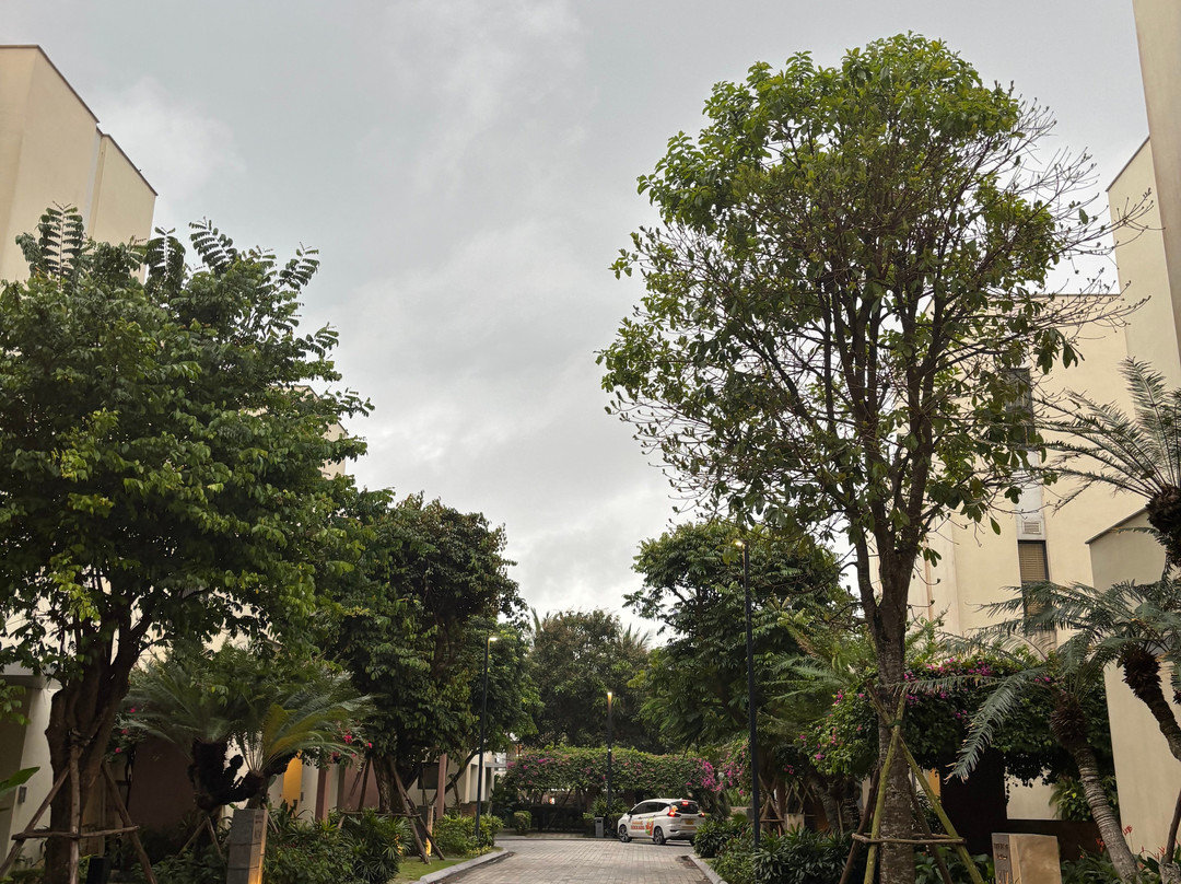 广南岘港五别墅度假村主图