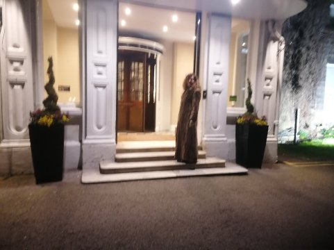 老天鹅酒店-官方