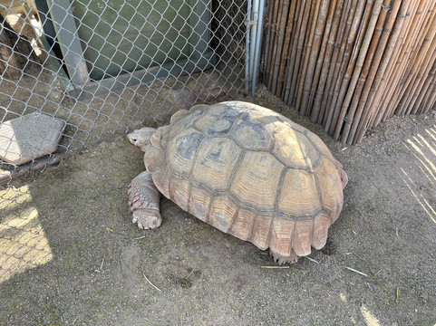 Southwest Wildlife Conservation Center-斯科茨代尔必去景点