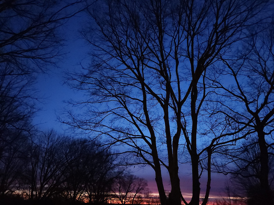 普莱森特希尔沙克尔乡村酒店主图