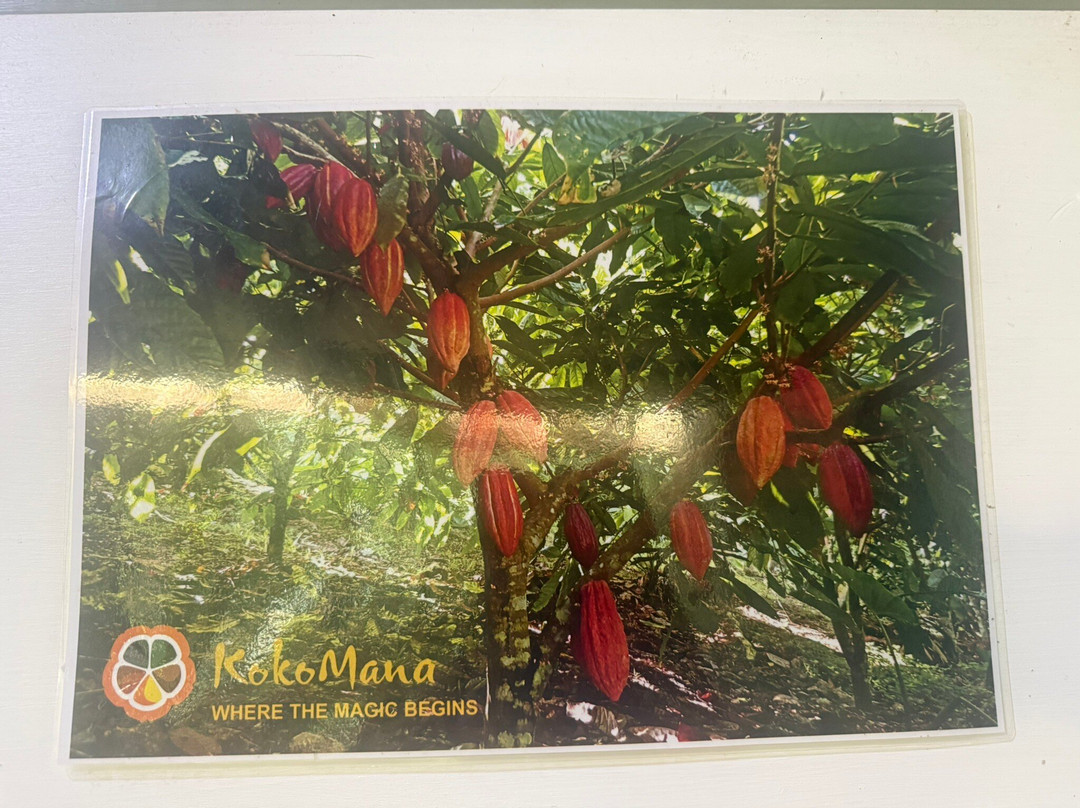 KokoMana-萨武萨武必去景点