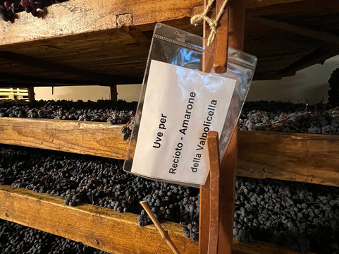 Enouting Wine Tours-维罗纳必去景点