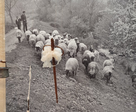 Environment Museum of Stymphalia-Stymfalia必去景点