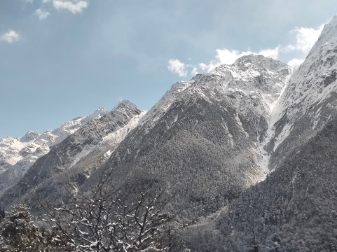 Ease Tours & Treks-甘托克必去景点