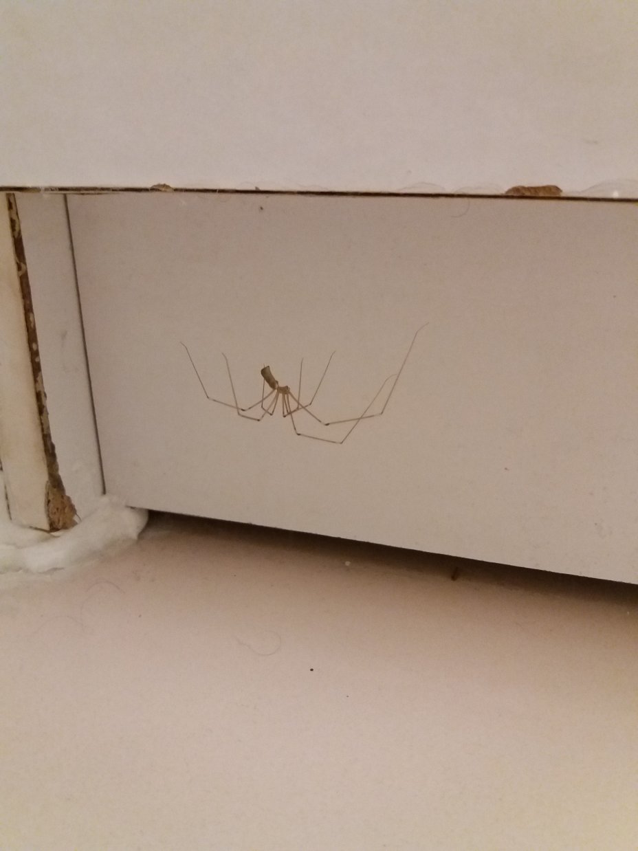 Garrigae Cap Coz-浴室