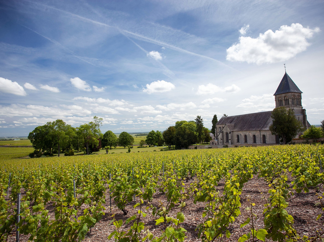 Champagne Claude Cazals-Le Mesnil-sur-Oger必去景点