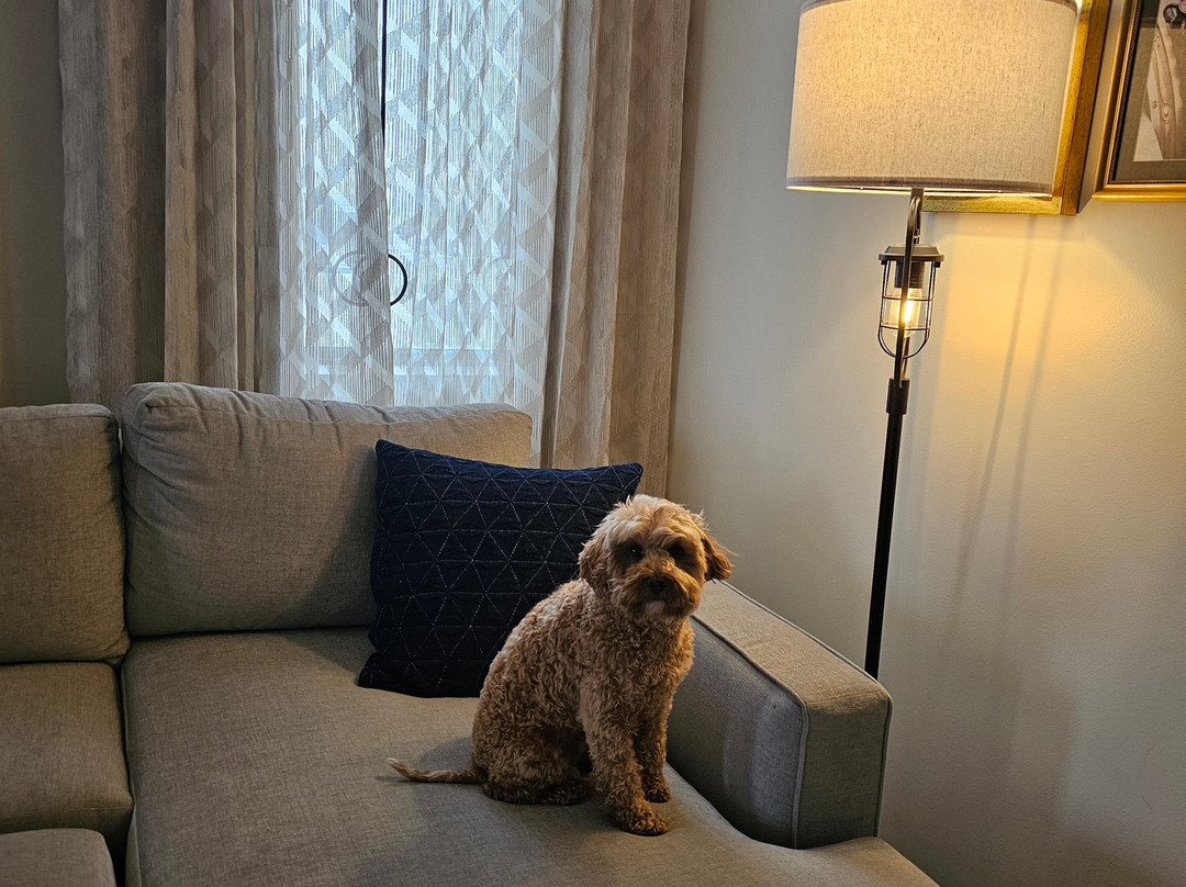 Ardent 代顿市中心希尔顿启缤精选酒店主图