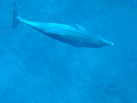 Crystal Boat Guadeloupe-Pointe-Noire必去景点