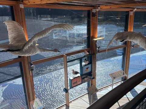 Naturum Värmland-卡尔斯塔德必去景点