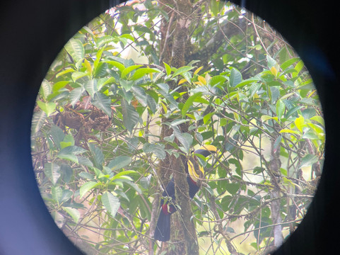 NexusTours-圣何塞必去景点