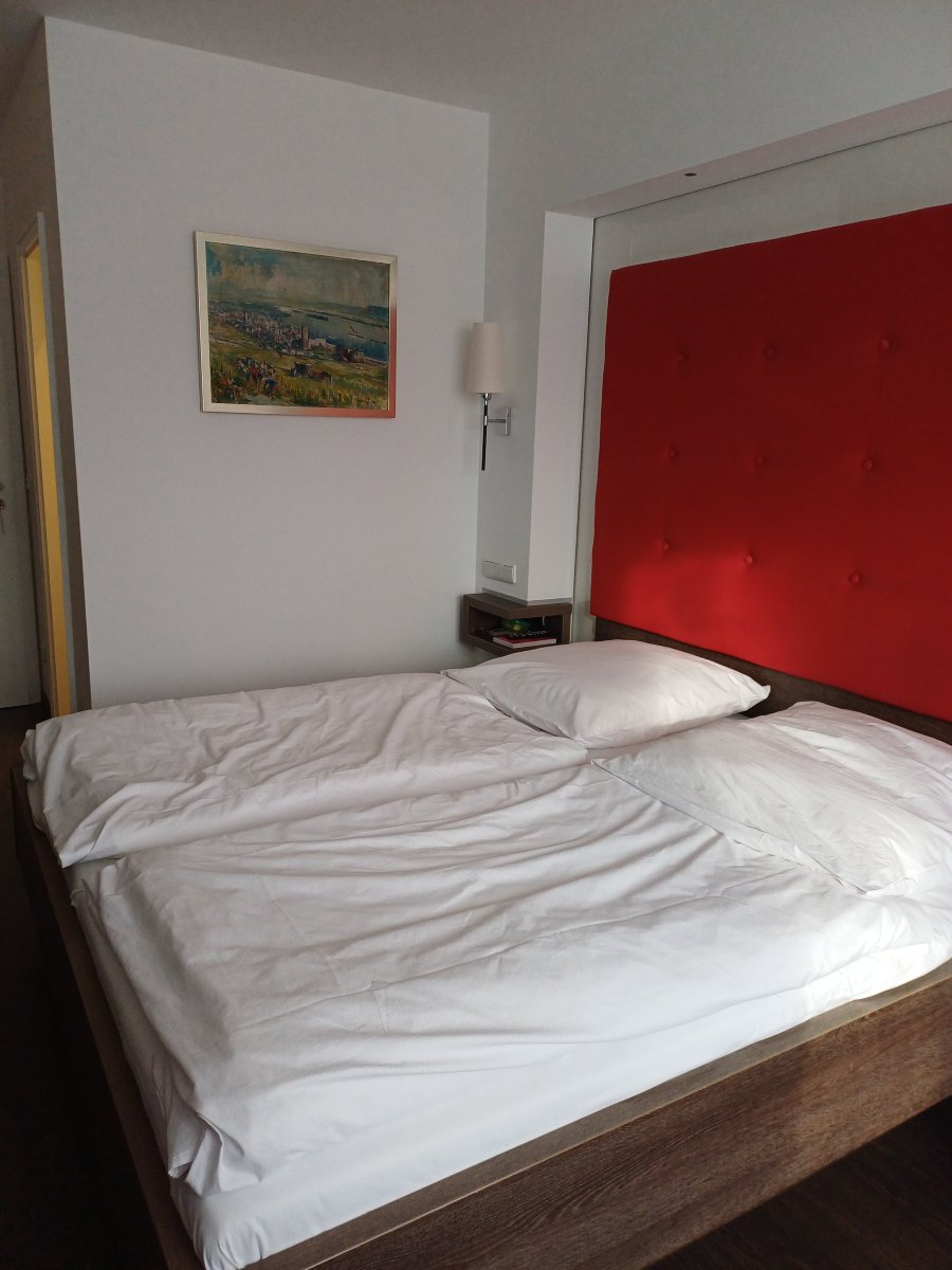 Weinhaus Sinz-客卧