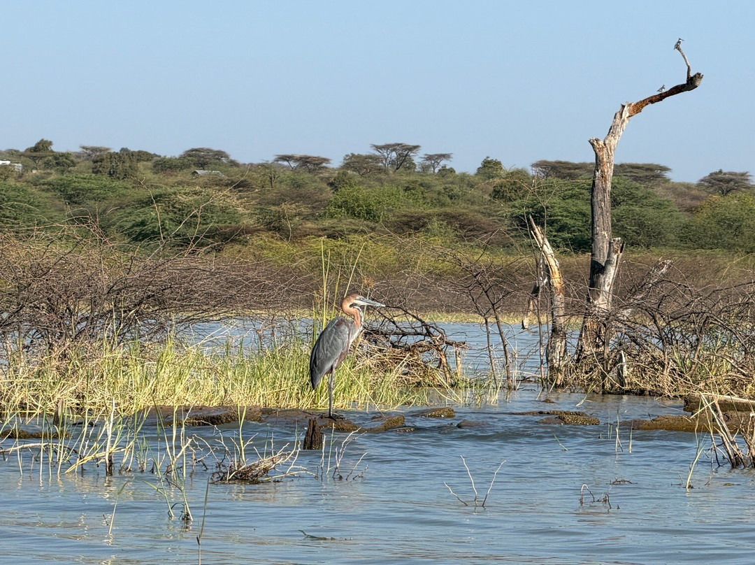 Lake Baringo-Baringo District必去景点