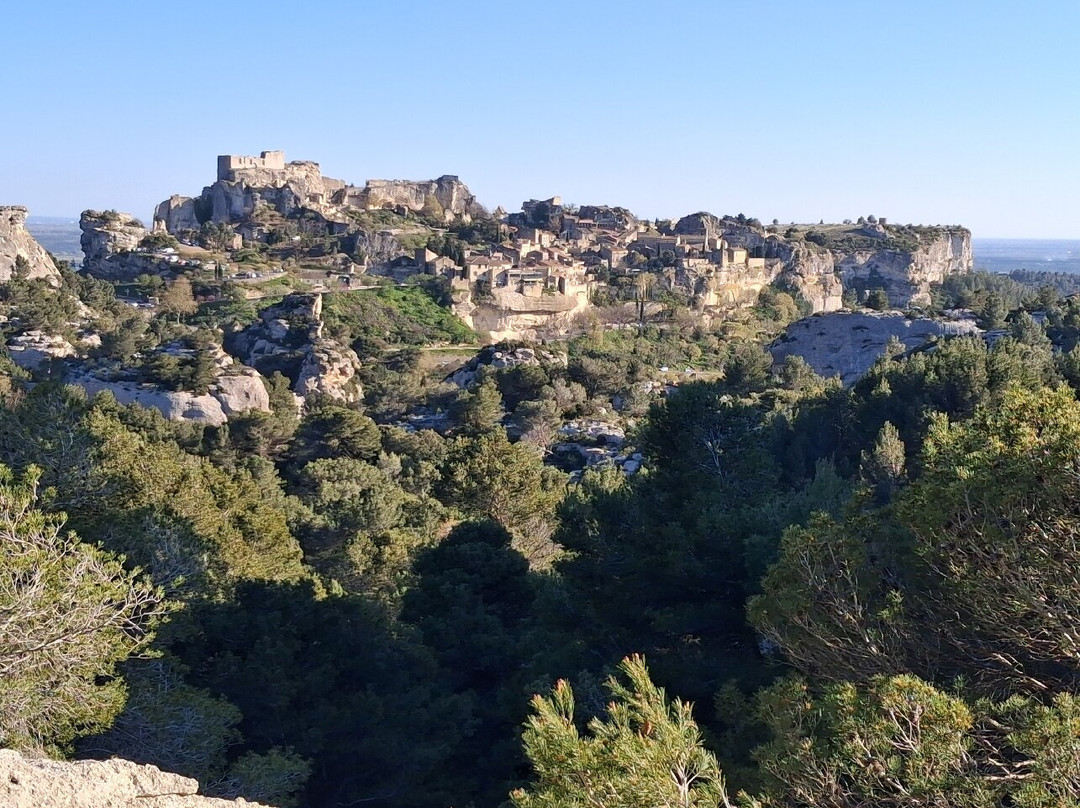 Camargue Alpilles Safaris-阿尔勒必去景点
