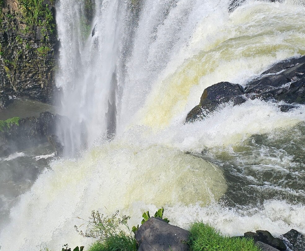 Salto de Eyipantla-San Andres Tuxtla必去景点