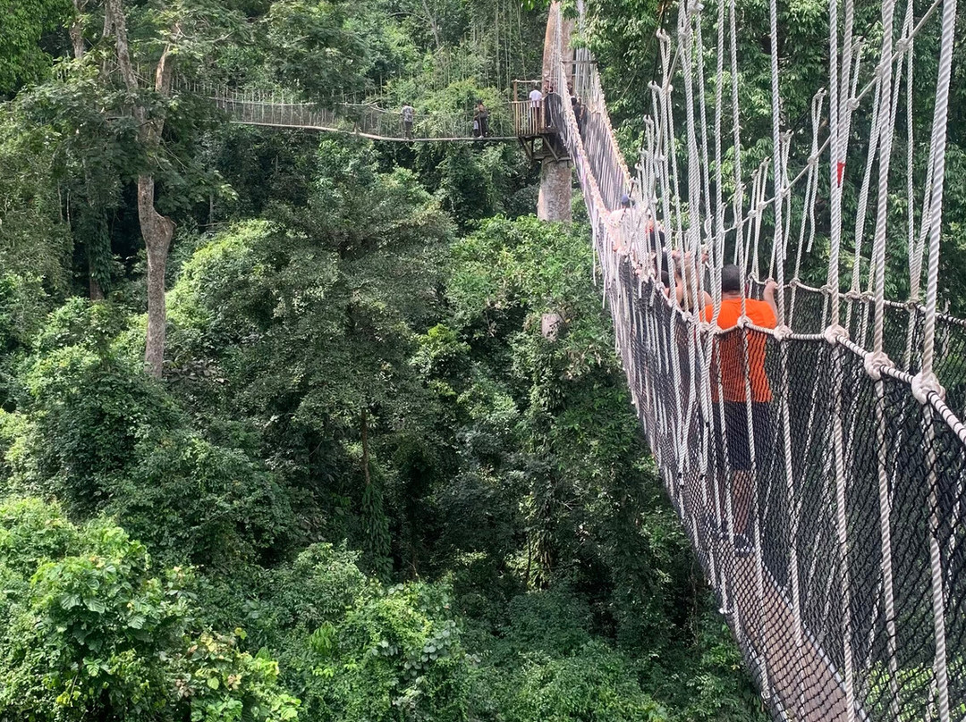 TANF Charity-Tours-Aburi必去景点